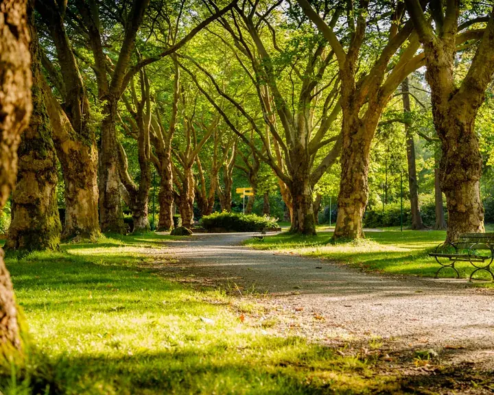 Park - illustrative photograph